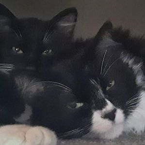 Meet your Posher, Cathy